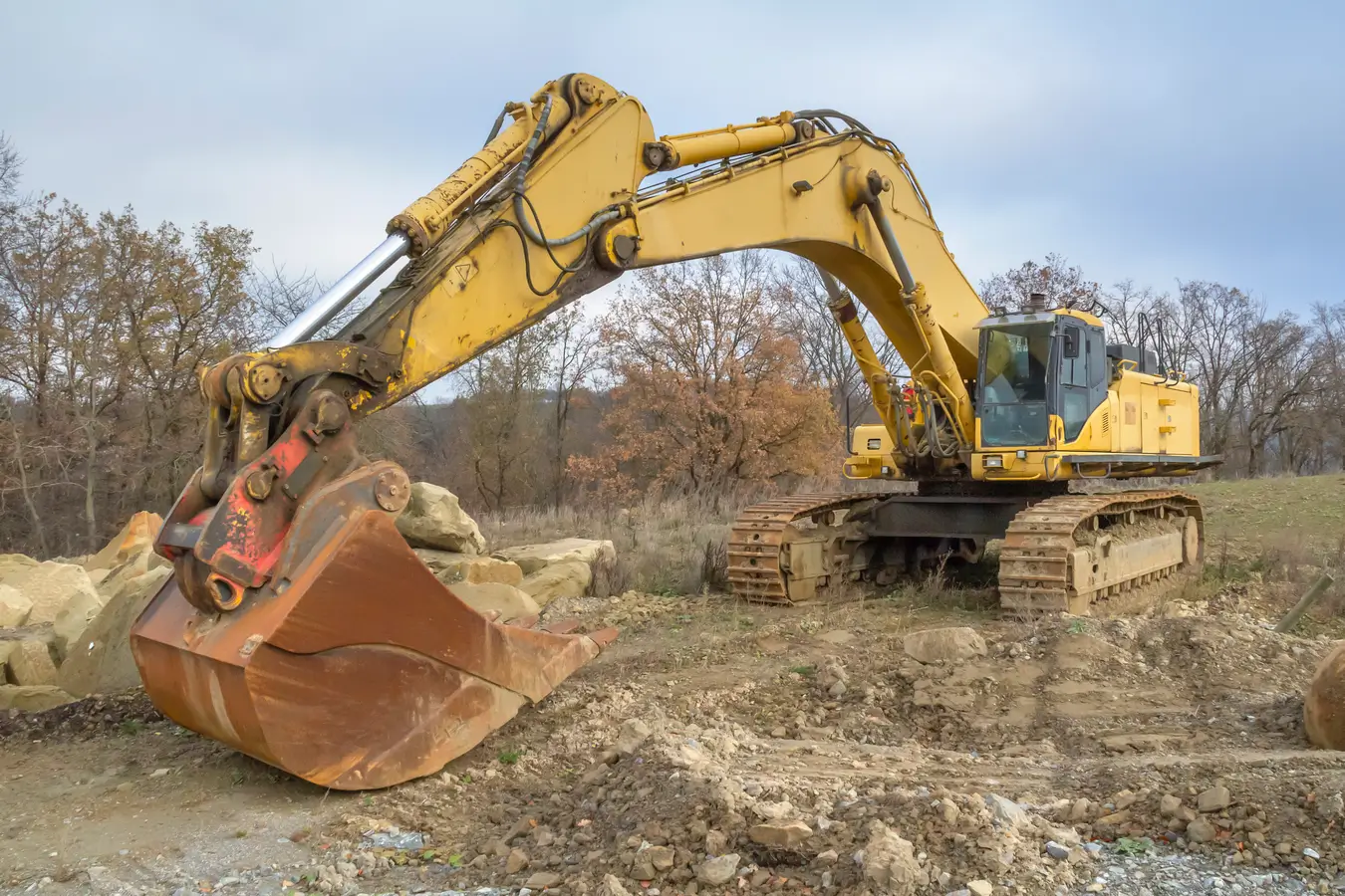 property clearing hamilton